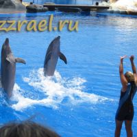 AquaLand Costa Adeje на острове Тенерифе.