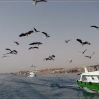 Развлечения за пределами Arabia Azur.