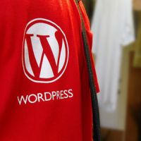 Самая полная история Wordpress. Часть 2 из 3..