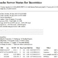 Модуль mod_status для Apache.