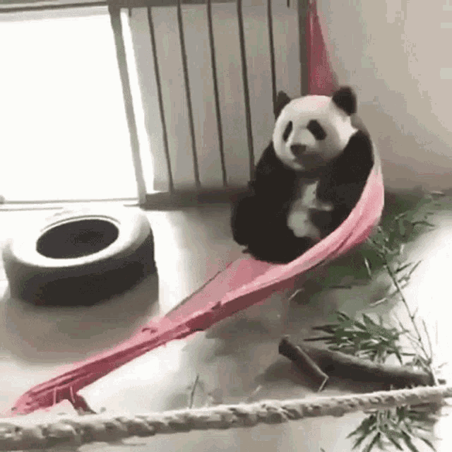 Я.Панда