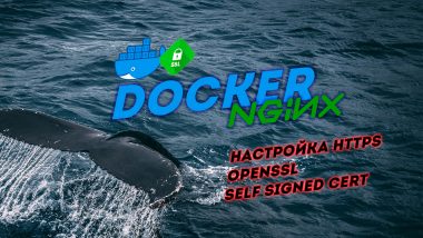 КДПВ Самоподписанный сертификат в Docker Compose + nginx+ https